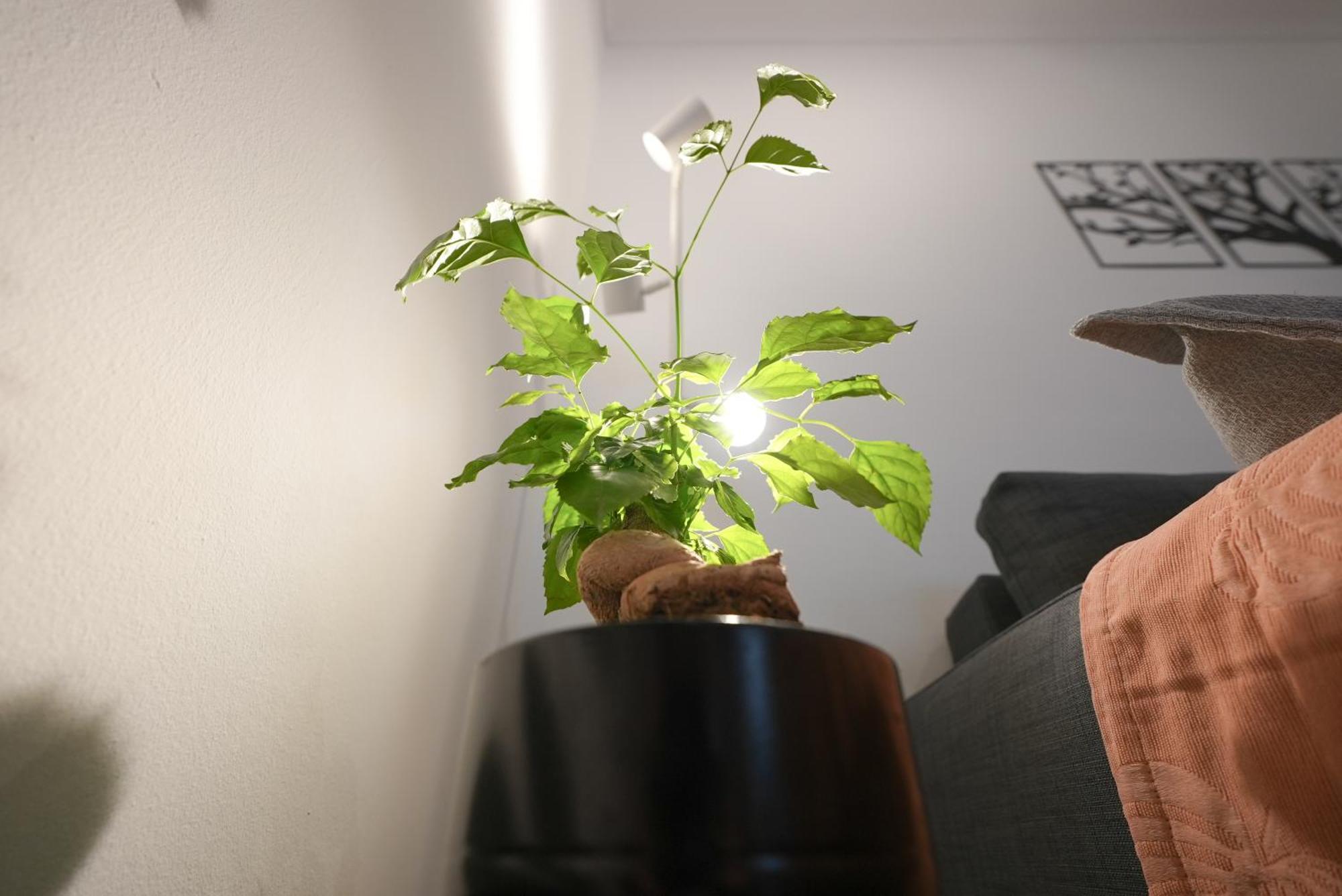 Syntagma Square, 50Sqm Nikis Luxurious Apartment Athene Buitenkant foto